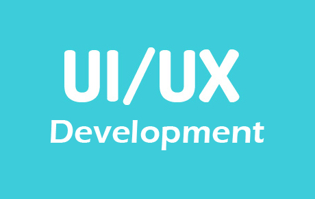 User interface / user design development